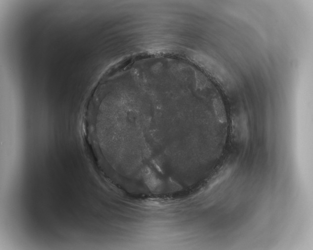 X0000101100592200807241029