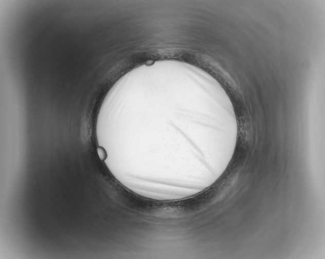 X0000101100593200807241029