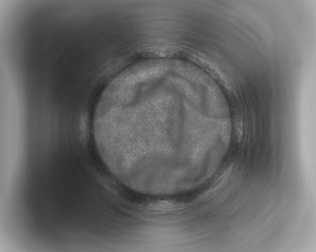 X0000101100594200807241029