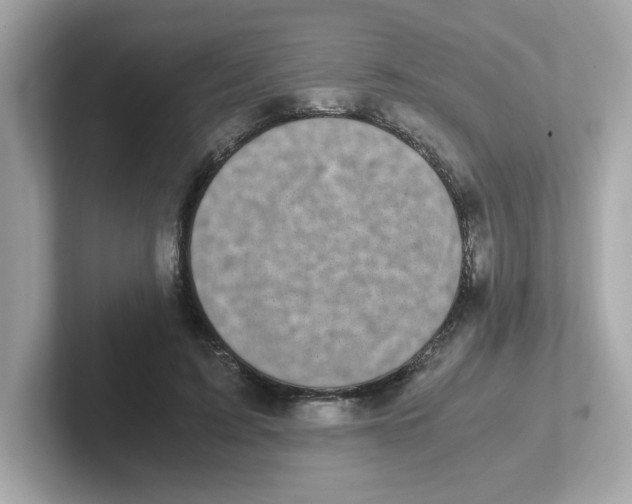 X0000101100595200807241029