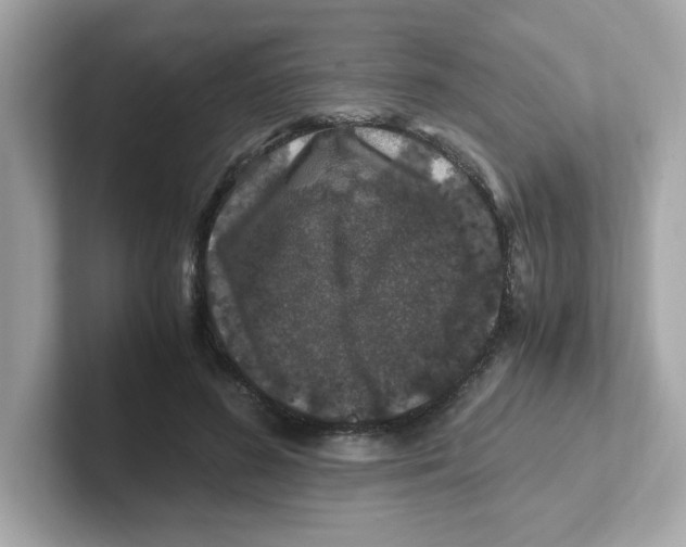 X0000101100596200807241029
