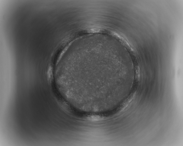 X0000101100598200807241029