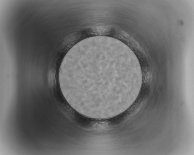 X0000101100599200807241029