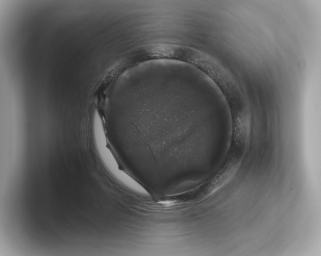 X0000101100600200807241029