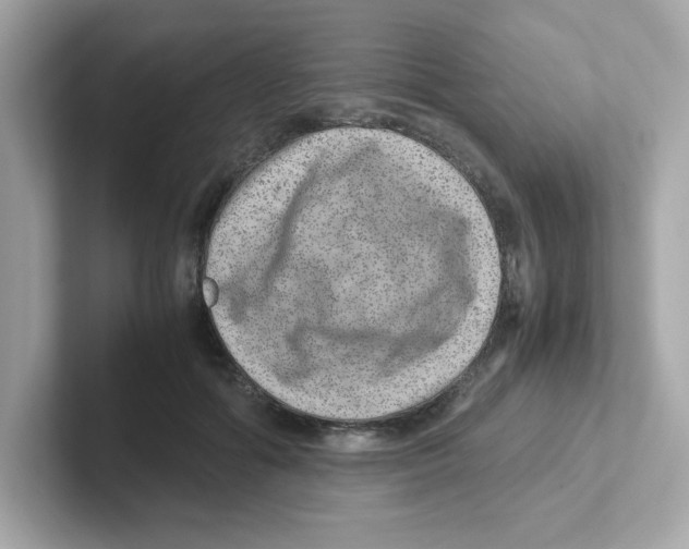X0000101100602200807241029