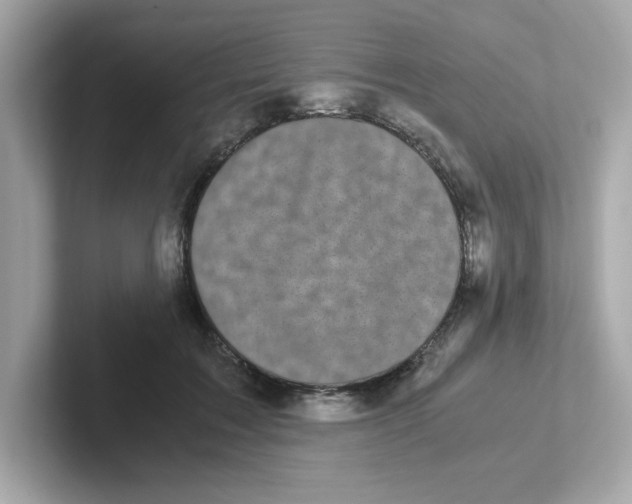 X0000101100603200807241029