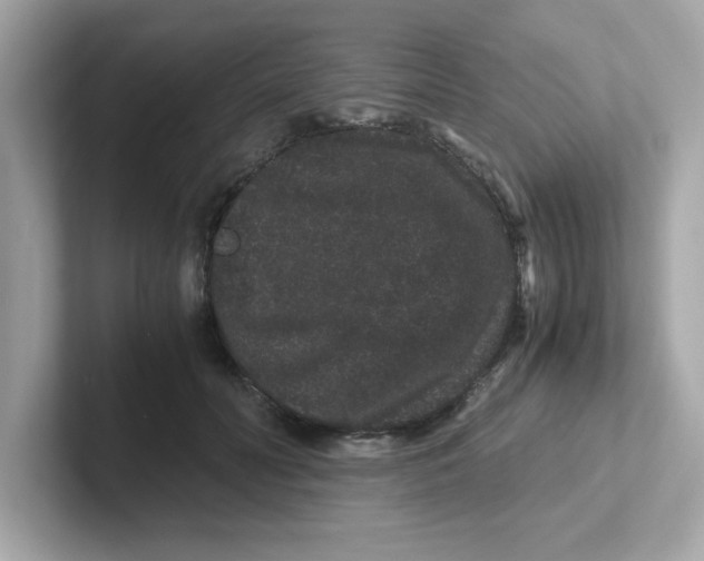 X0000101100606200807241029