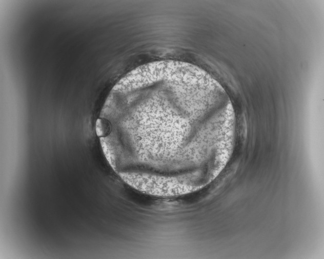 X0000101100607200807241029