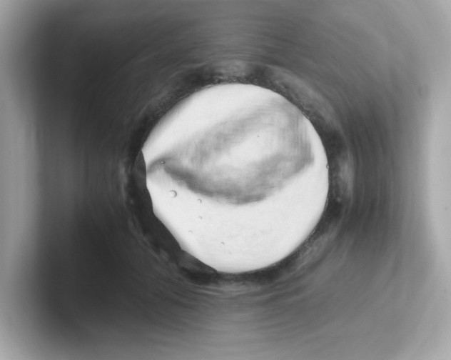 X0000101100608200807241029