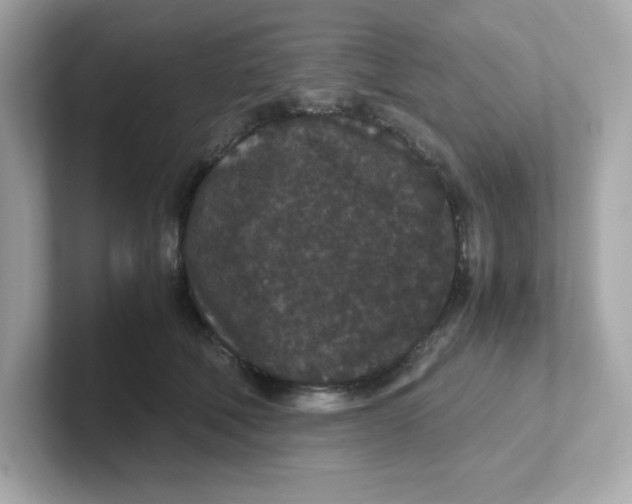 X0000101100610200807241029