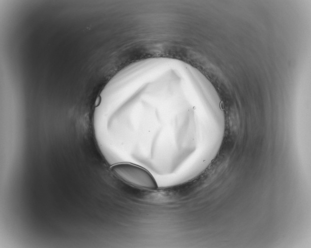 X0000101100611200807241029