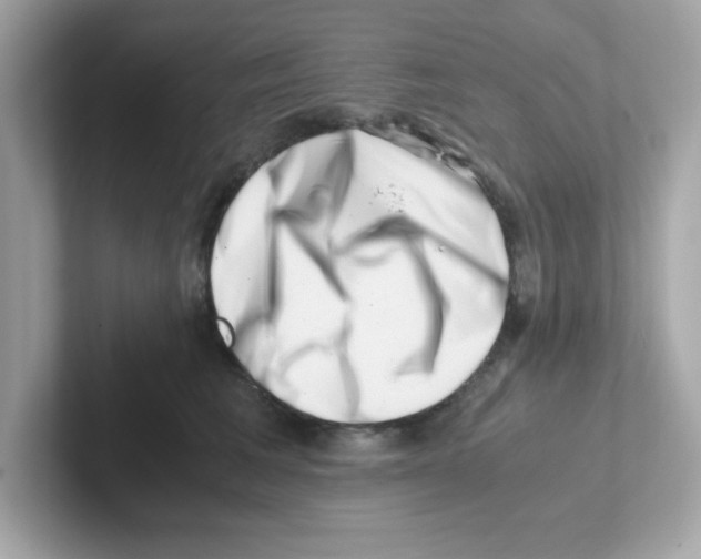 X0000101100613200807241029