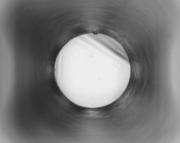 X0000101100614200807241029