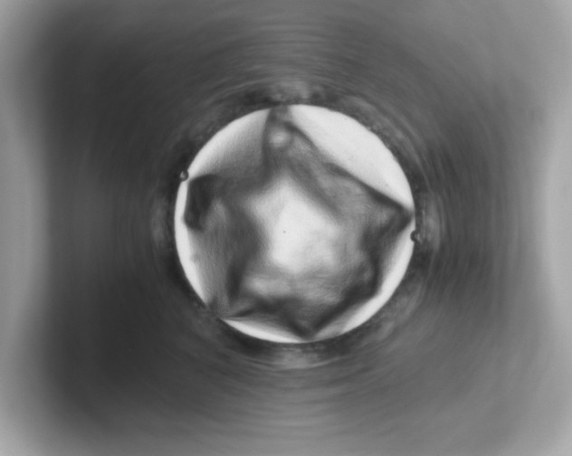 X0000101100616200807241029