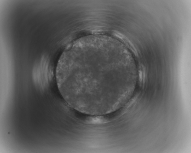 X0000101100618200807241029