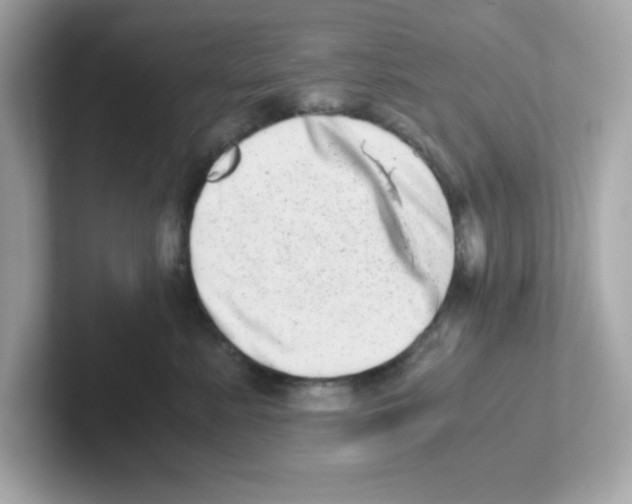 X0000101100619200807241029