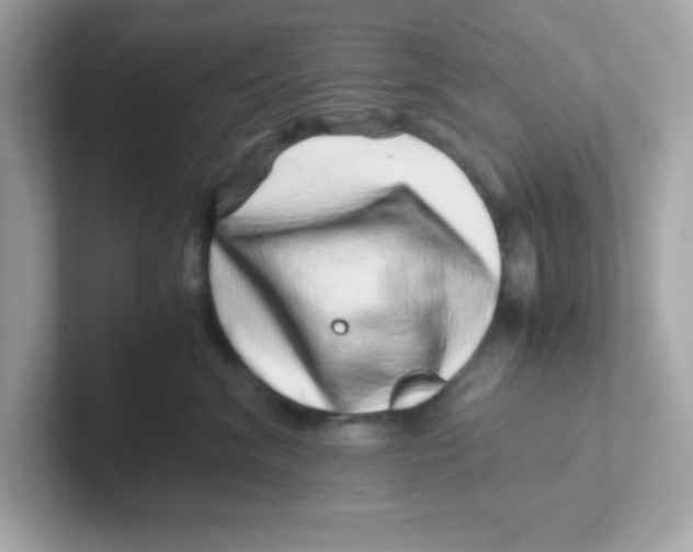 X0000101100620200807241029
