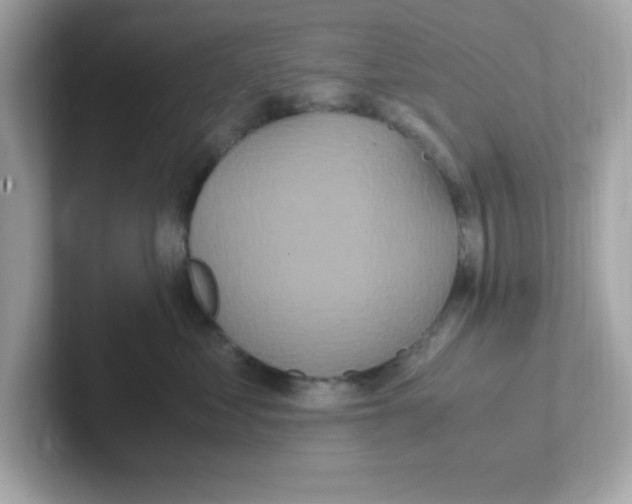 X0000101100621200807241029