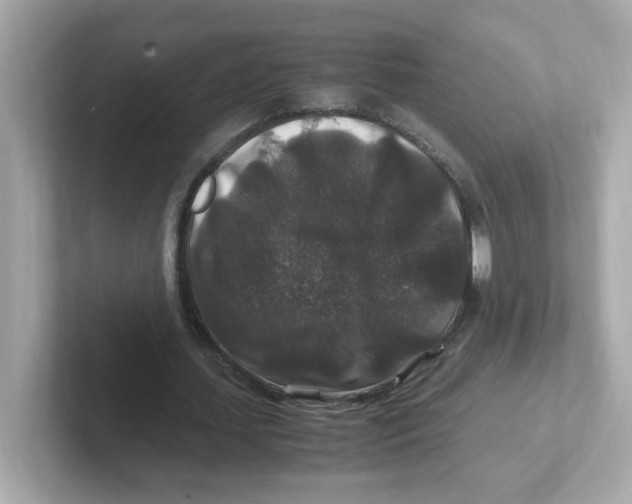 X0000101100627200807241028