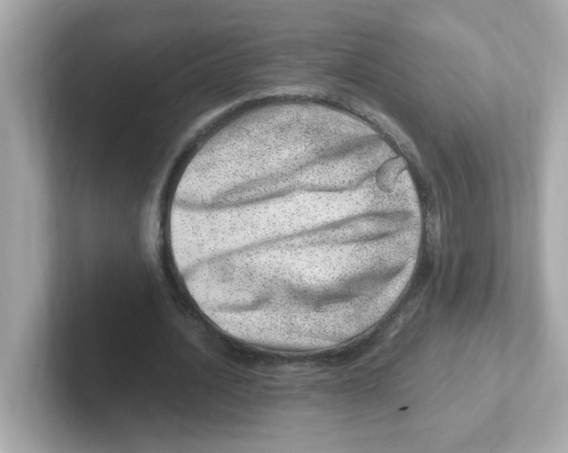 X0000101100628200807241028