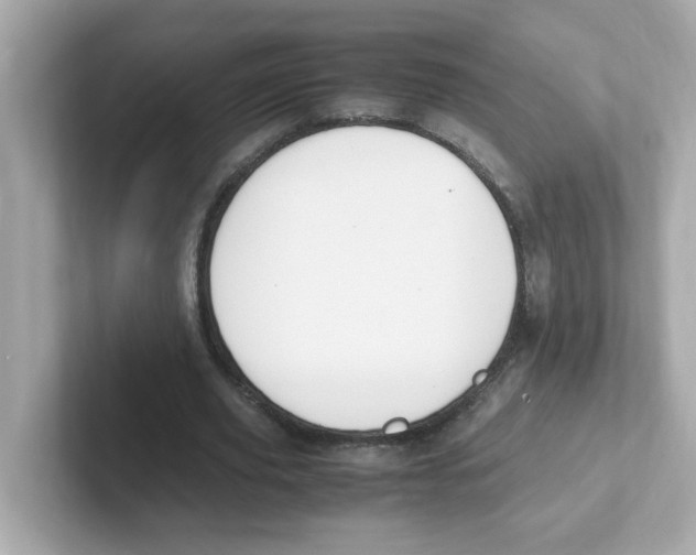 X0000101100629200807241028