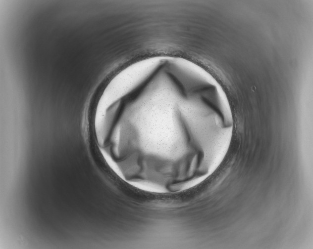 X0000101100630200807241028
