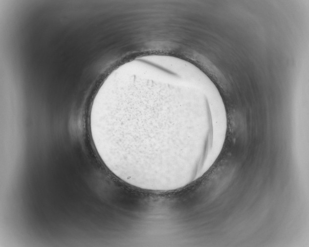 X0000101100632200807241028
