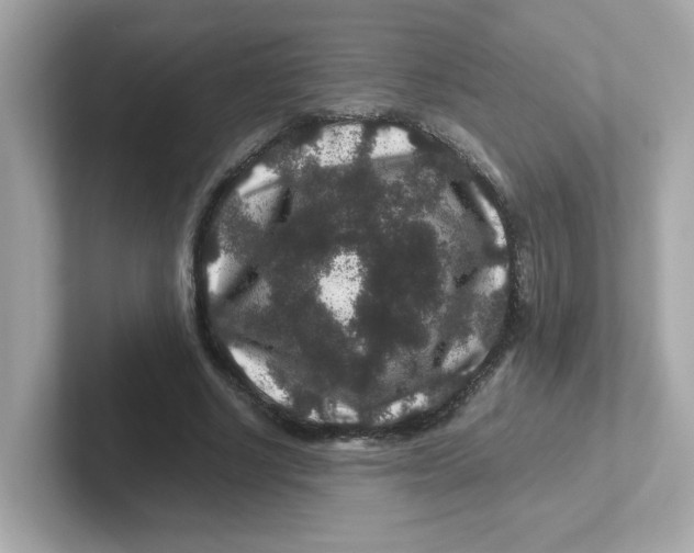X0000101100634200807241028