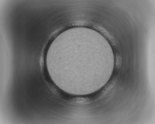 X0000101100636200807241028