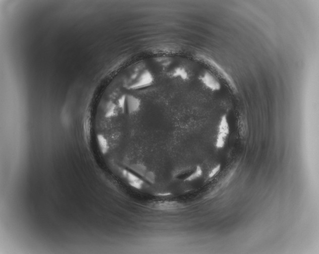 X0000101100637200807241028