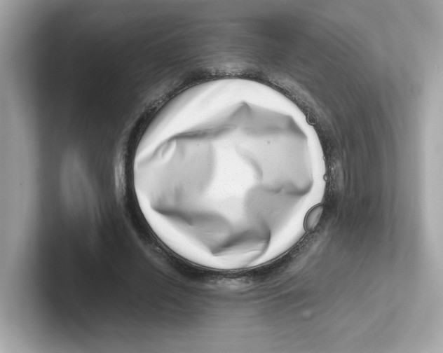 X0000101100638200807241029