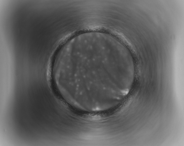 X0000101100640200807241029