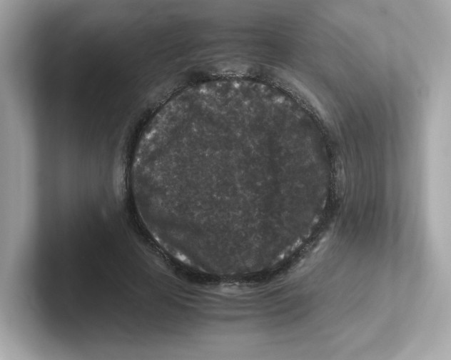 X0000101100641200807241029