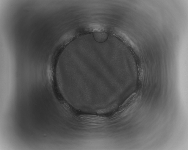 X0000101100643200807241029