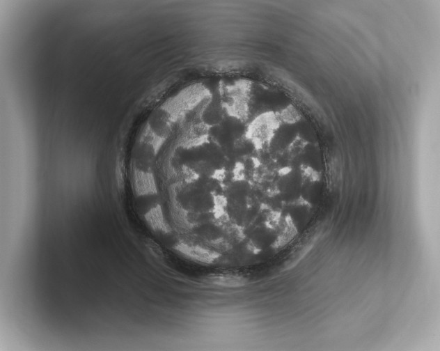 X0000101100644200807241029