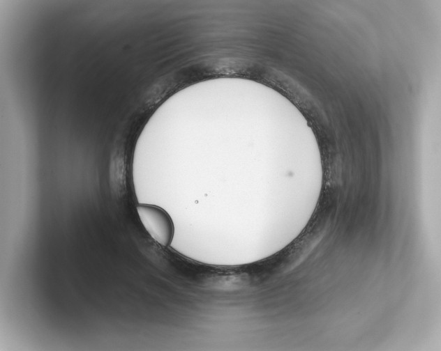 X0000101100646200807241029