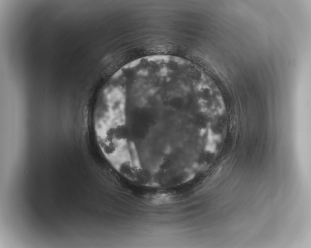 X0000101100647200807241029