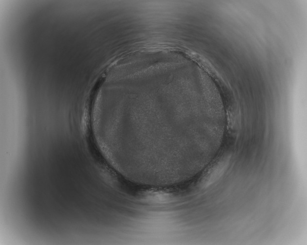 X0000101100648200807241029