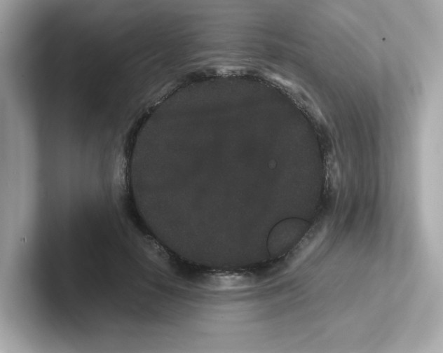 X0000101100650200807241029