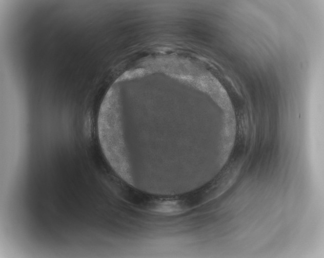X0000101100651200807241029