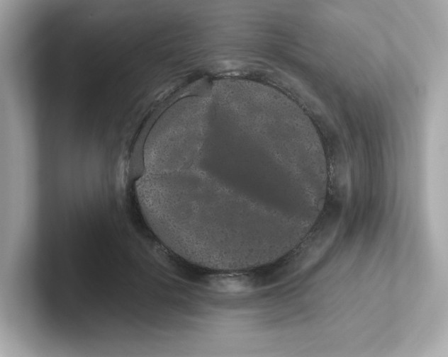 X0000101100652200807241029