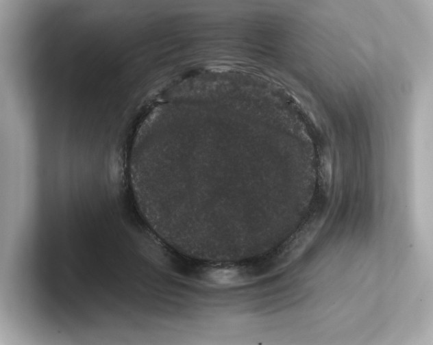 X0000101100653200807241029