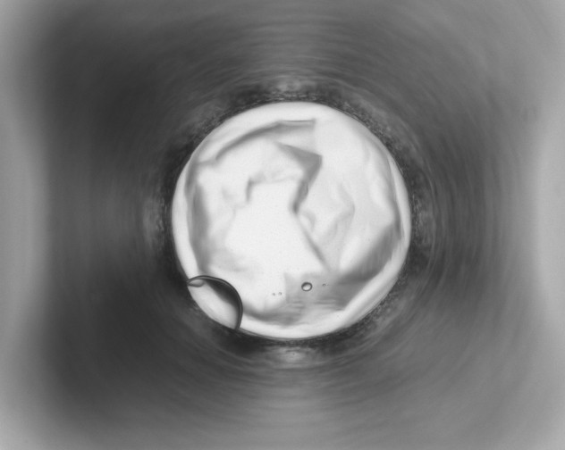 X0000101100654200807241029