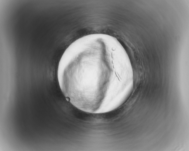 X0000101100656200807241029