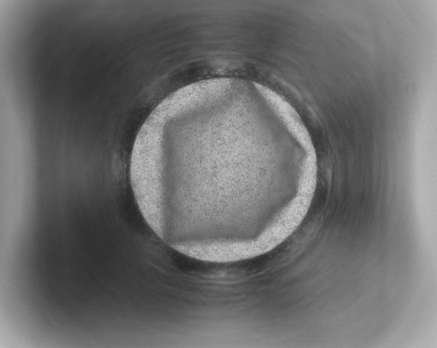 X0000101100657200807241029