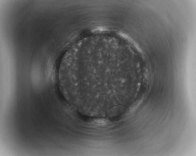 X0000101100659200807241029
