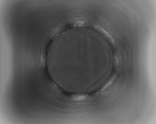 X0000101100661200807241029
