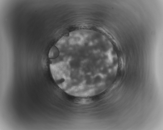 X0000101100663200807241029