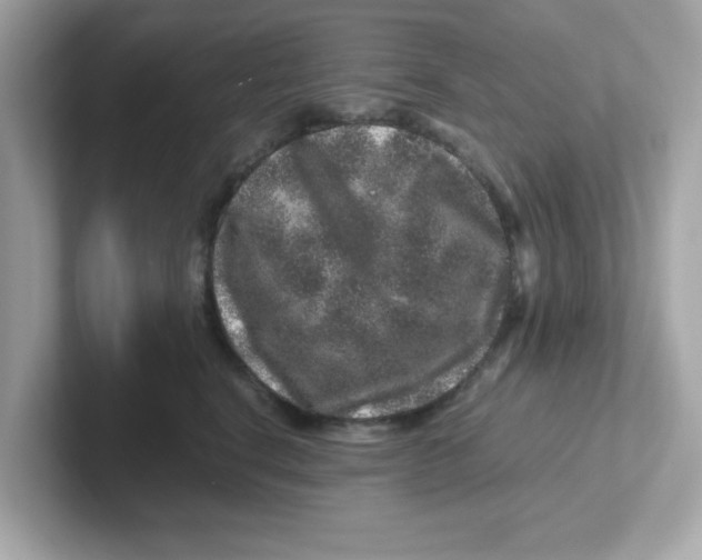 X0000101100664200807241029