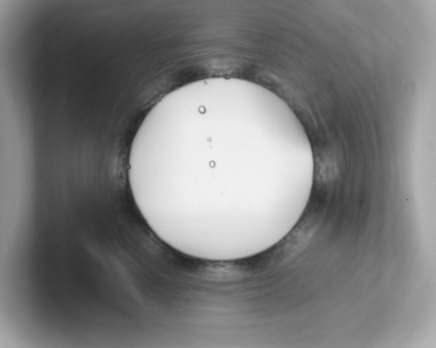X0000101100666200807241029